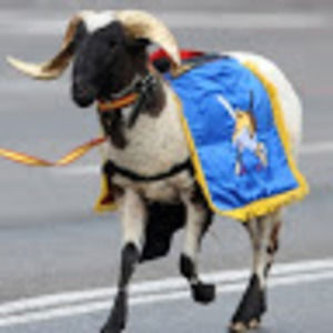 Meet your Posher, Zachary